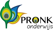 Pronk Onderwijs